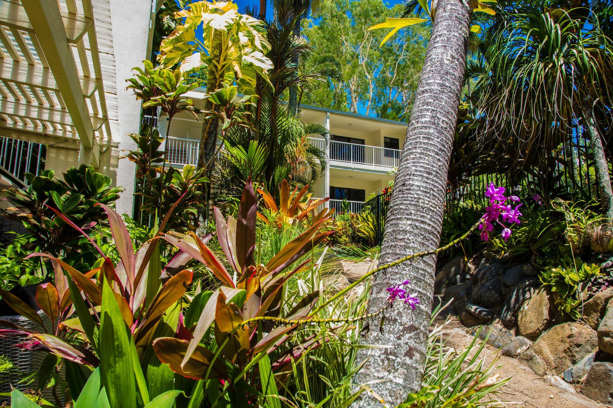 Melaleuca Resort Palm Cove Exterior foto