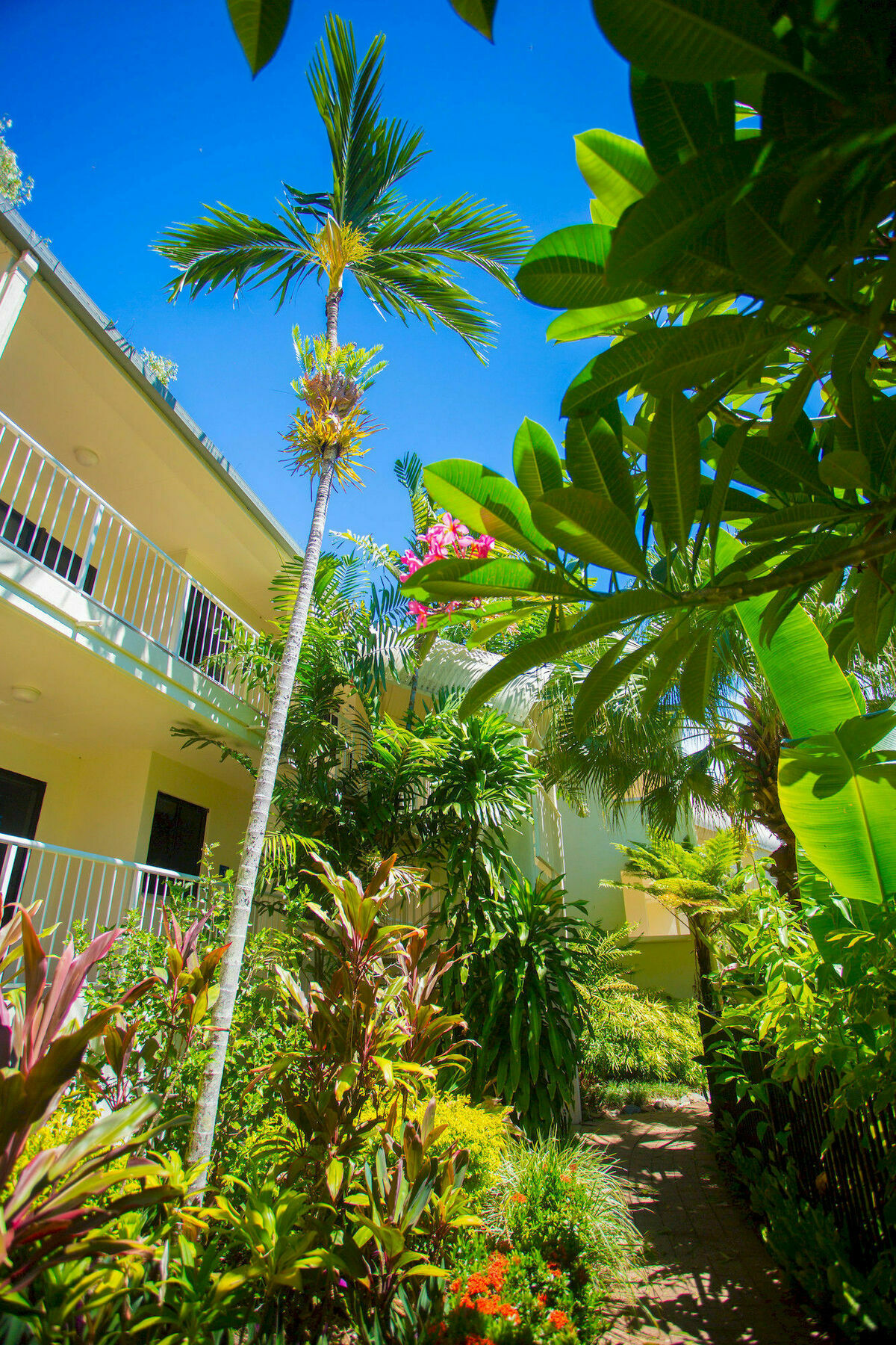 Melaleuca Resort Palm Cove Exterior foto