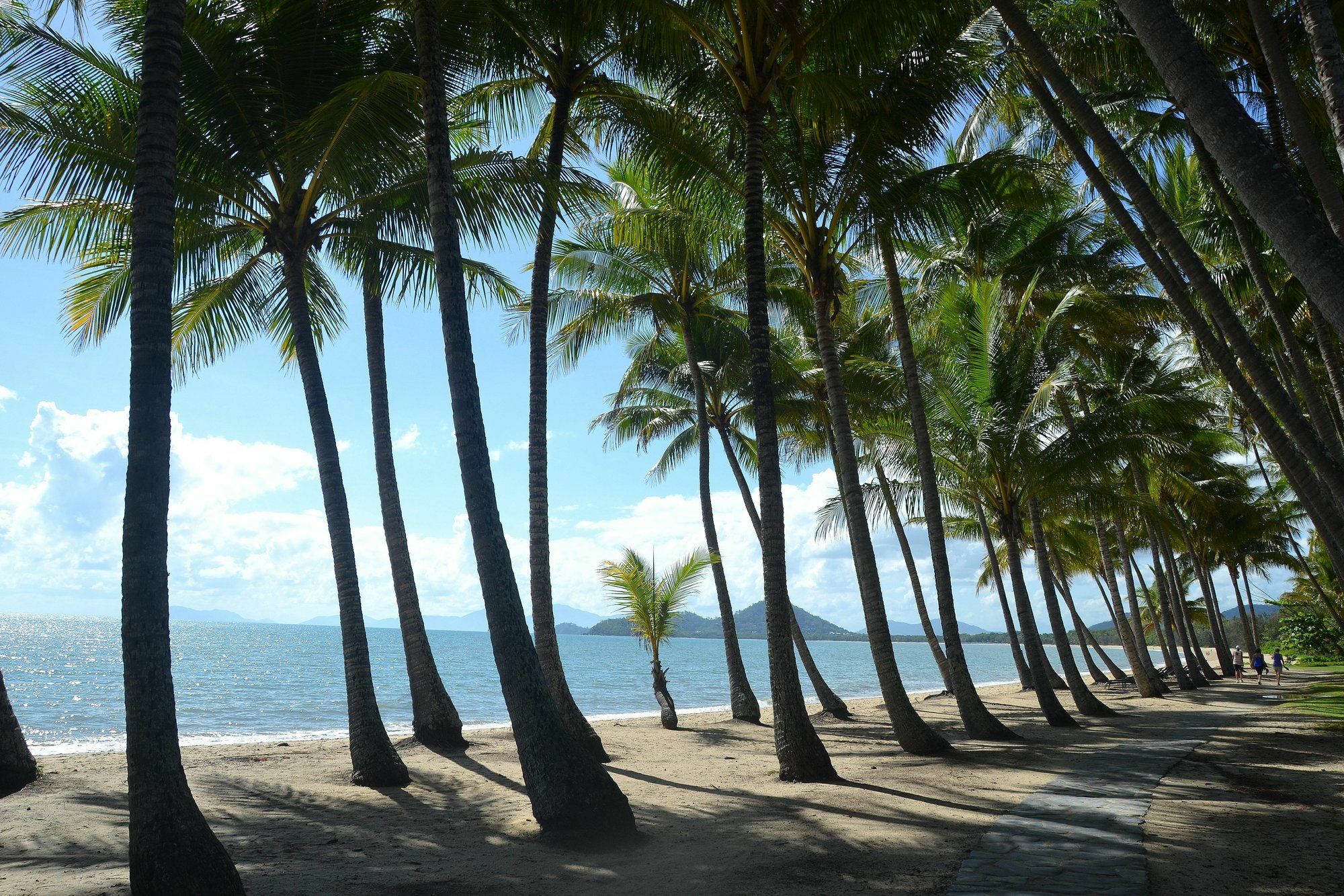 Melaleuca Resort Palm Cove Exterior foto